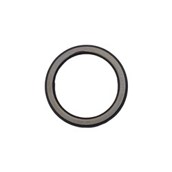 MAXUS OIL SEAL