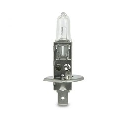 GLOBE LONGLIFE H1 12V 55W