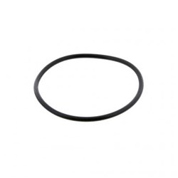 ORING SEAL