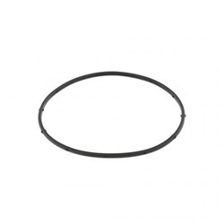 SEAL RECTANGULAR RING