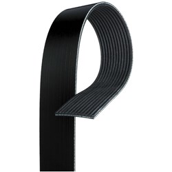 GATES AUTO POLY RIB BELT