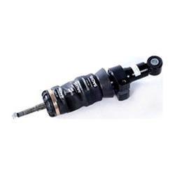 STRUT ASSEMBLY REAR CAB