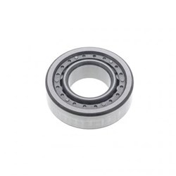 BEARING MAINSHAFT SP