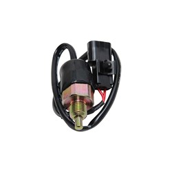 REVERSE LIGHT SWITCH