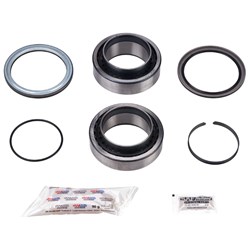 INTRADISC BEARING & SEAL KIT ZI9