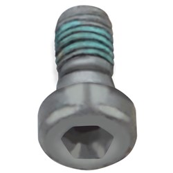 CAP BOLT